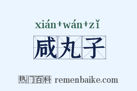 咸丸子是什么意思的图片